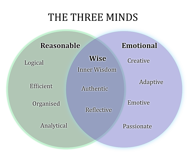 three minds20233A